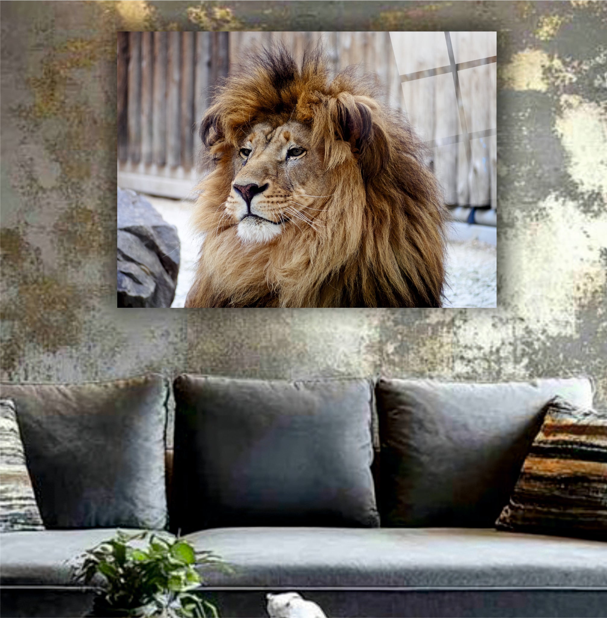 ASLAN-25 Doğal Ortamda Asil Erkek Aslan Portresi Güç ve Asalet
