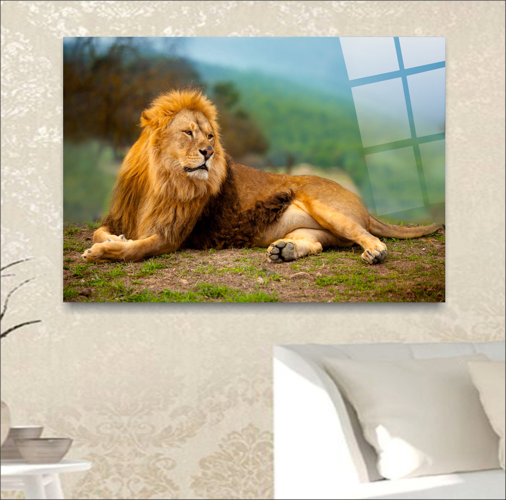ASLAN-30 Doğada Dinlenen Erkek Aslan