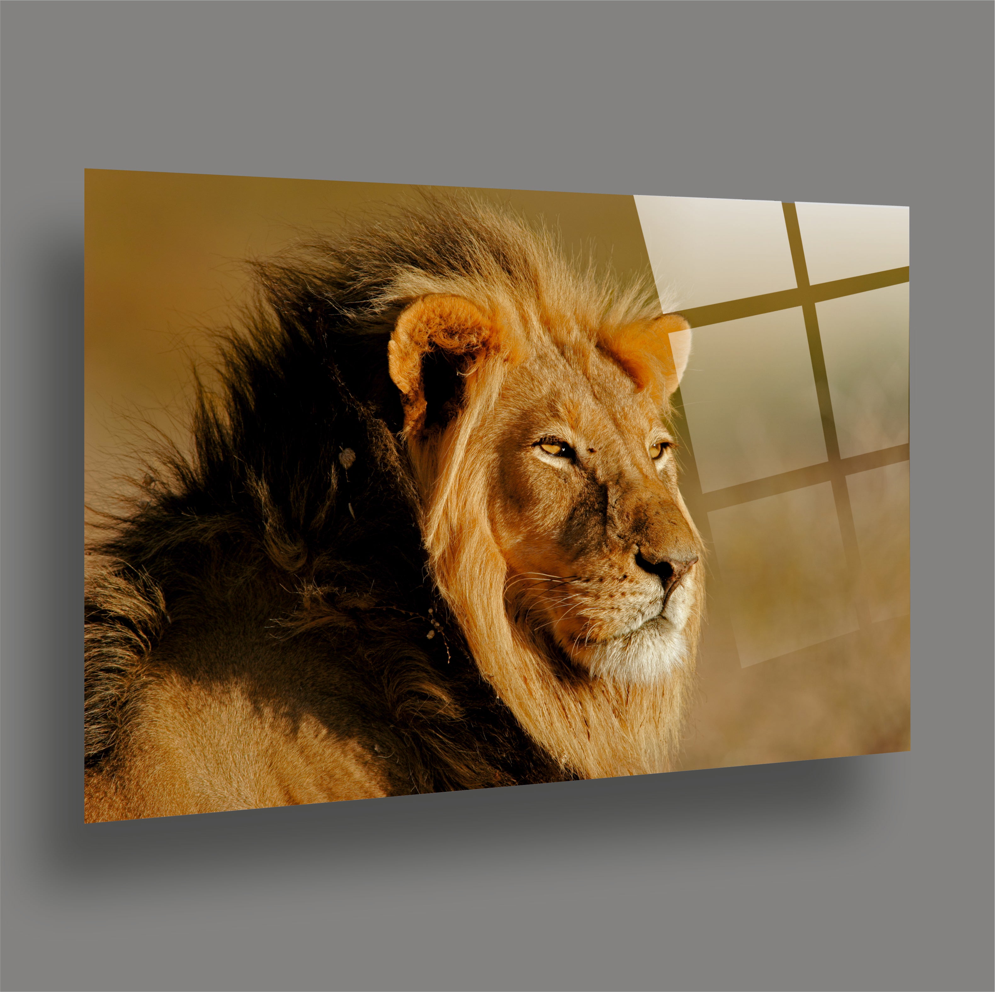 ASLAN-33 Asil Erkek Aslan Profili Vahşi Doğa Cam Tablo