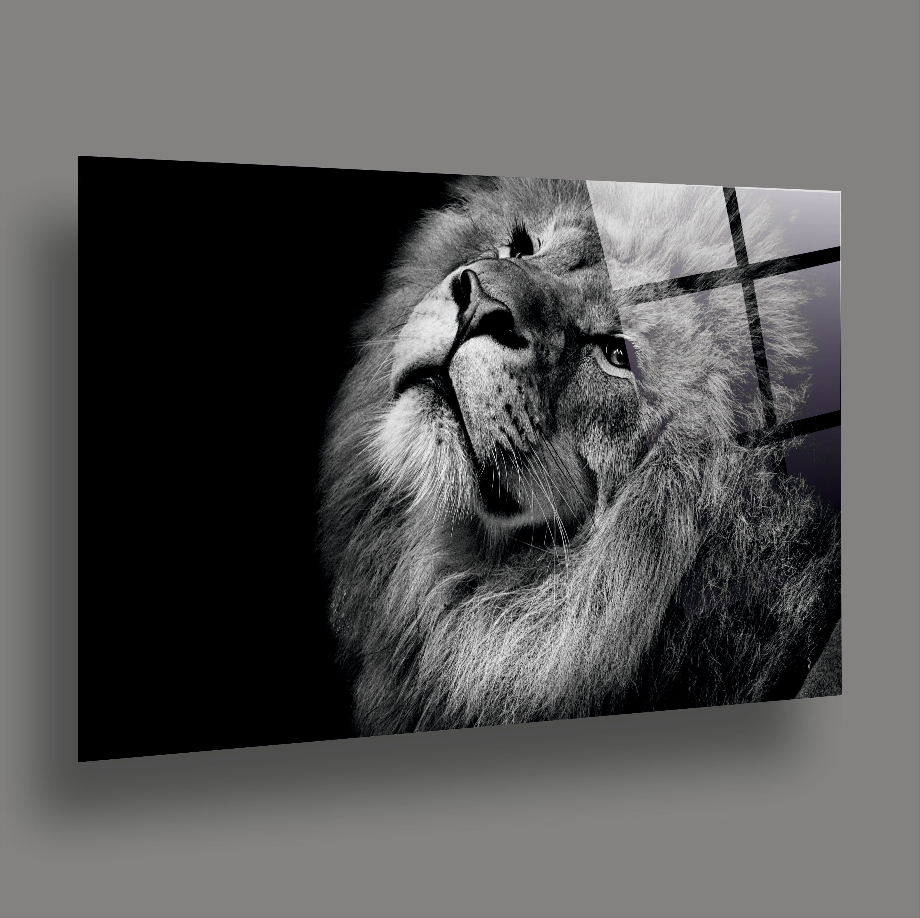 ASLAN-34 Siyah Beyaz Asil Aslan Portresi Premium Cam Tablo