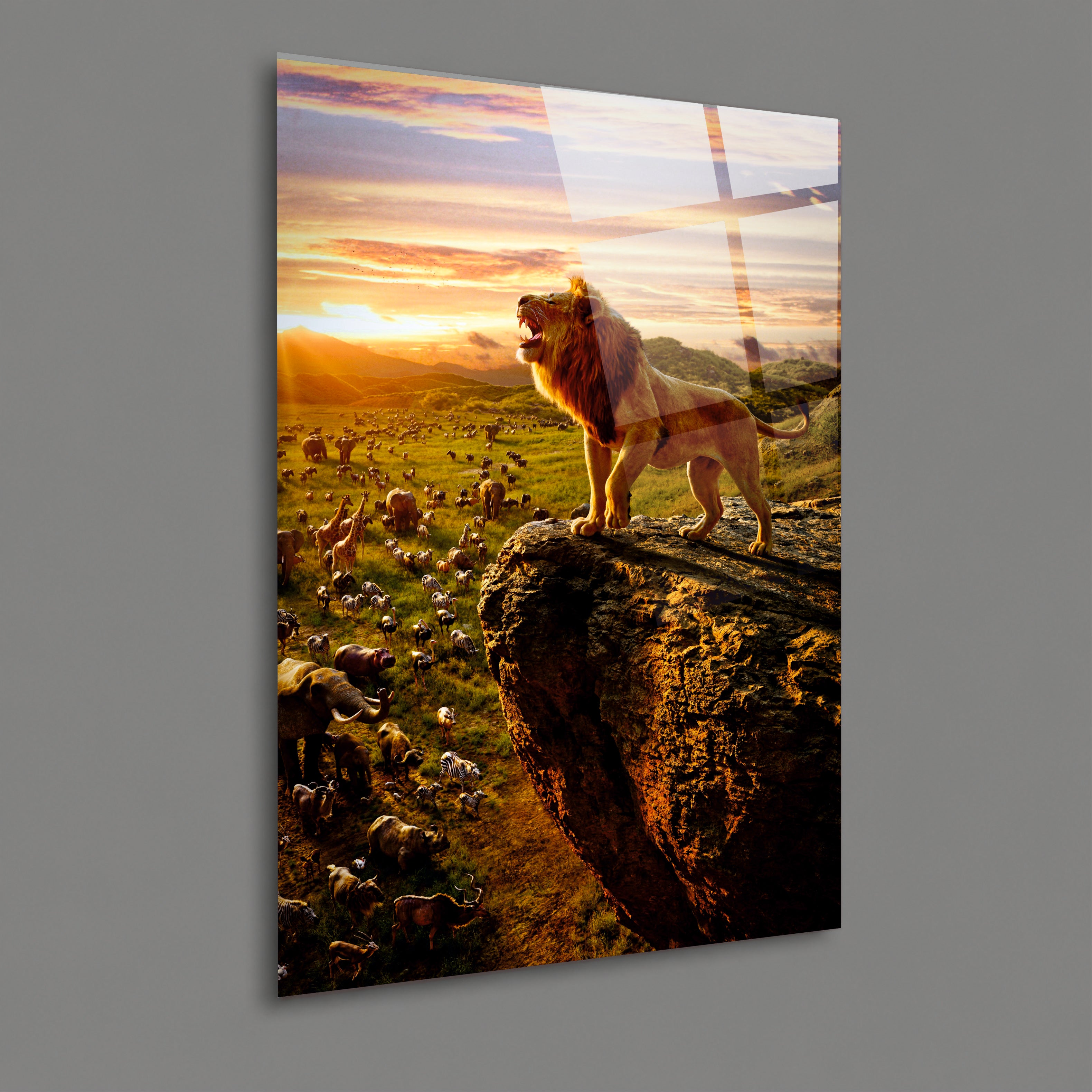 ASLAN-37 Gün Batımında Kayalık Üzerinde Kükreyen Aslan