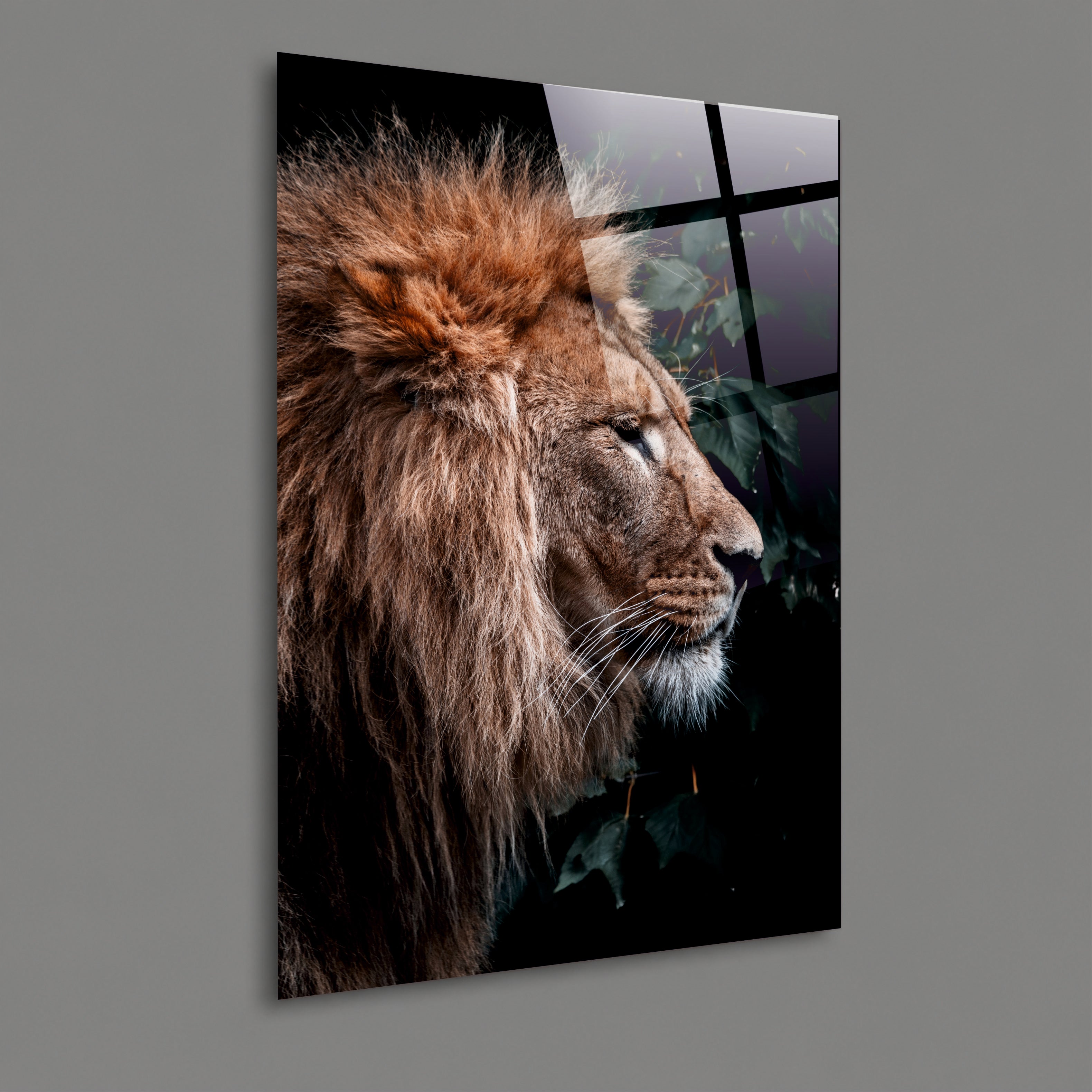 ASLAN-61 Aslan Yan Profil Doğa Temalı
