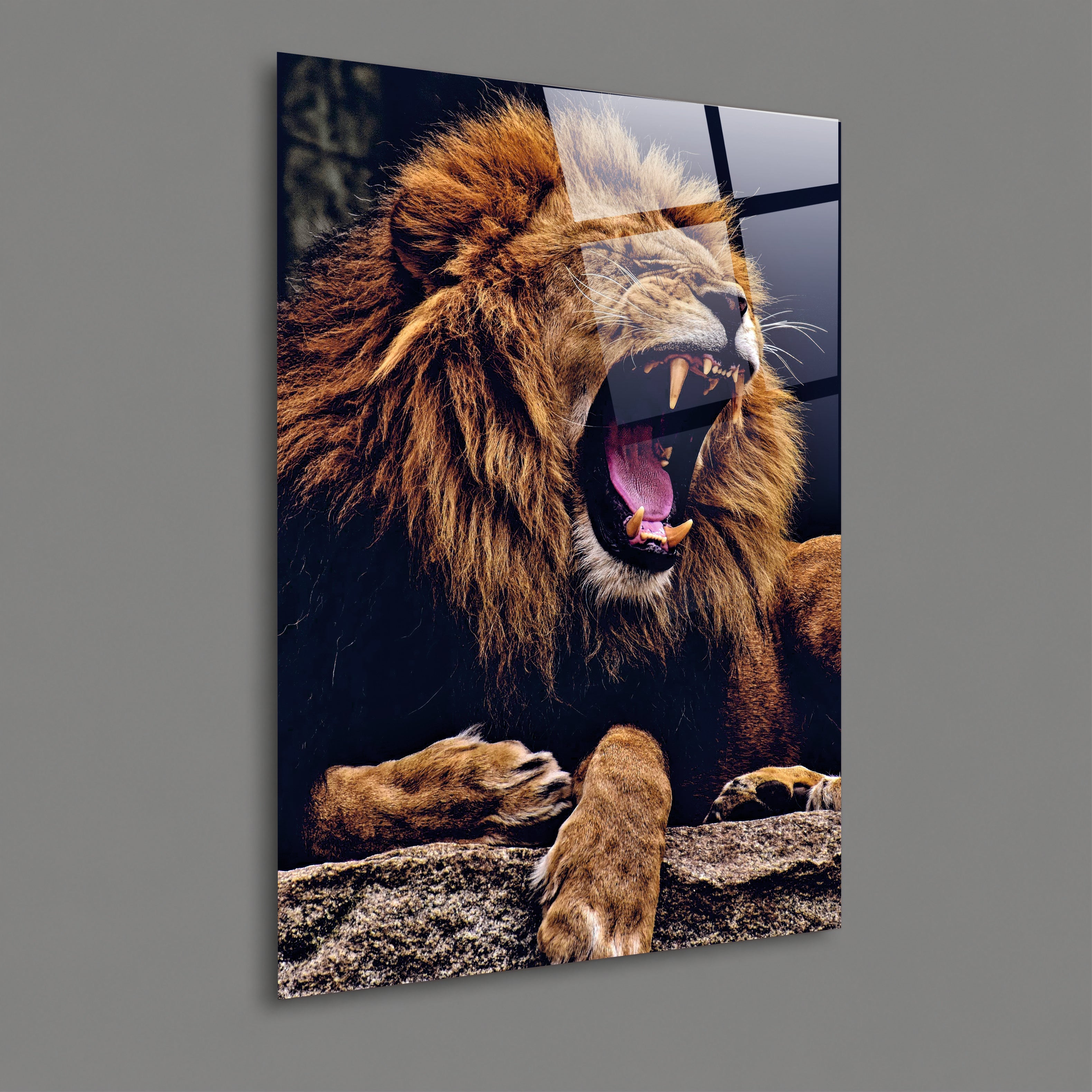 ASLAN-62 Kükreyen Aslan Kayalık Üzerinde